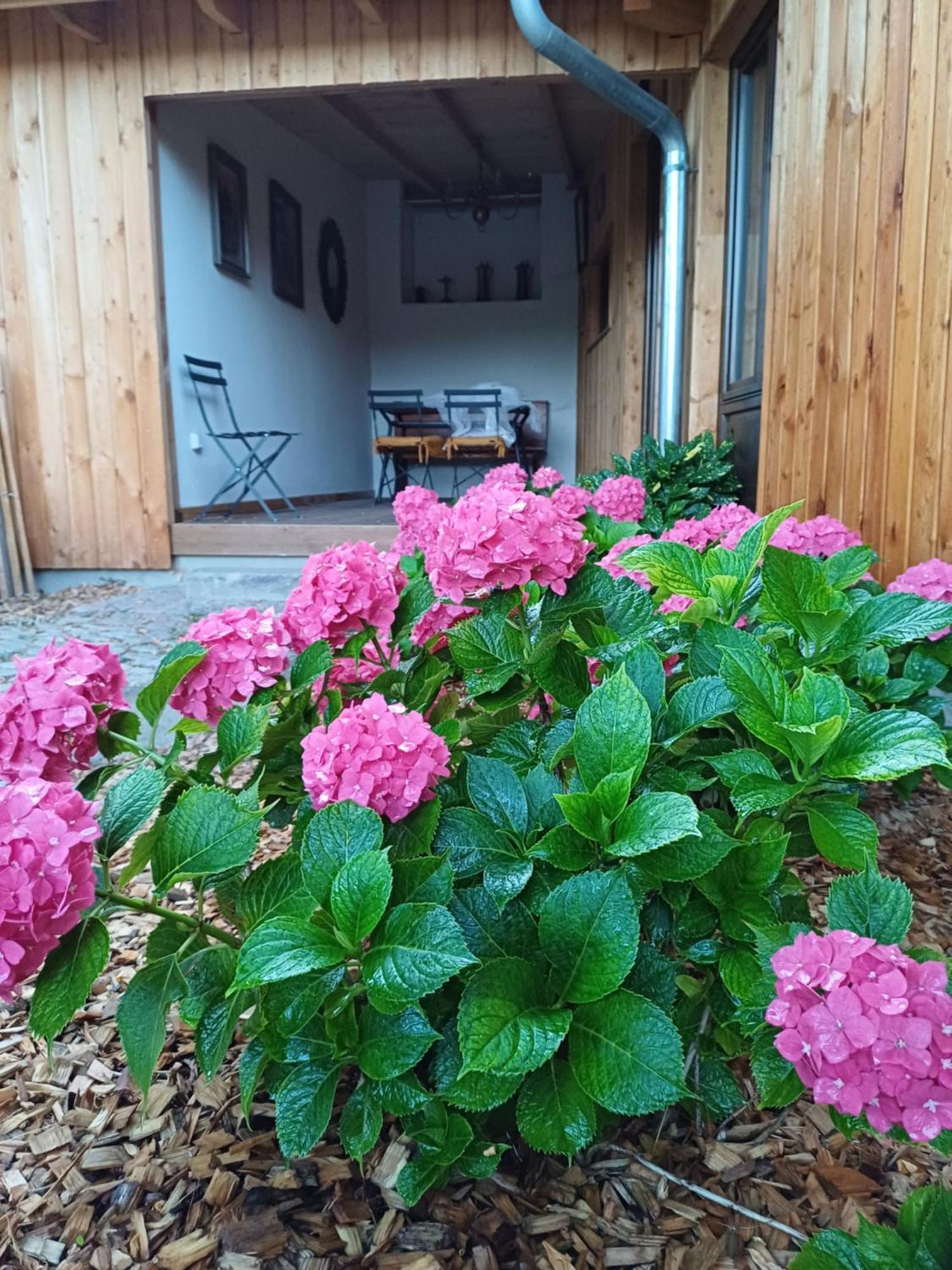 Les Cottages Du Chateau De Werde Matzenheim ภายนอก รูปภาพ