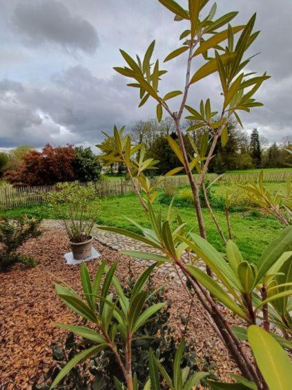 Les Cottages Du Chateau De Werde Matzenheim ภายนอก รูปภาพ